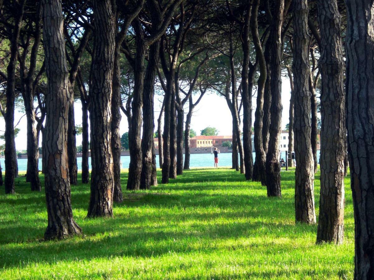 Vaniglia Venecia